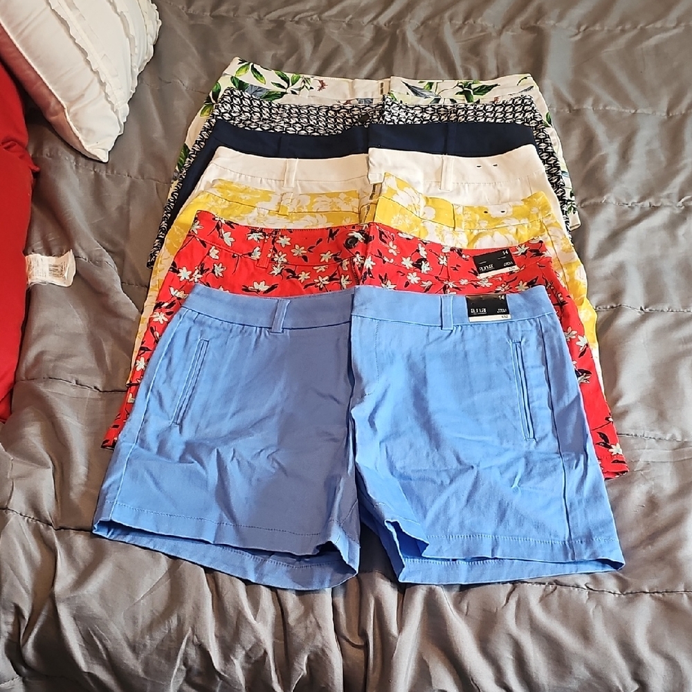 a.n.a Blue and Pink Twill Shorts